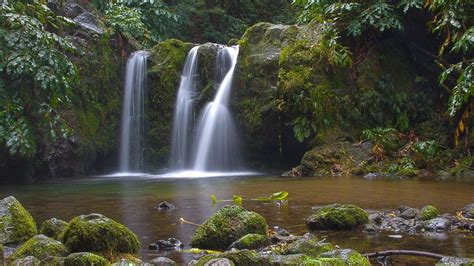 Azzorre Trekking A São Miguel Lisola Verde Di Laghi E Vulcani