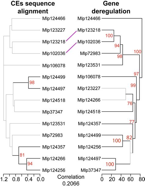 Hierarchical Clustering Of Gene Deregulation Groups Effectors