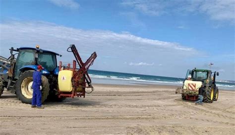 Spagna Spruzzano Candeggina Per Disinfettare La Spiaggia Danni