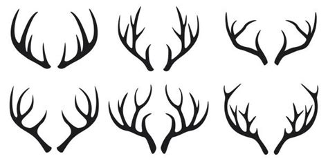 Antler Illustrations Royalty Free Vector Graphics And Clip Art Istock