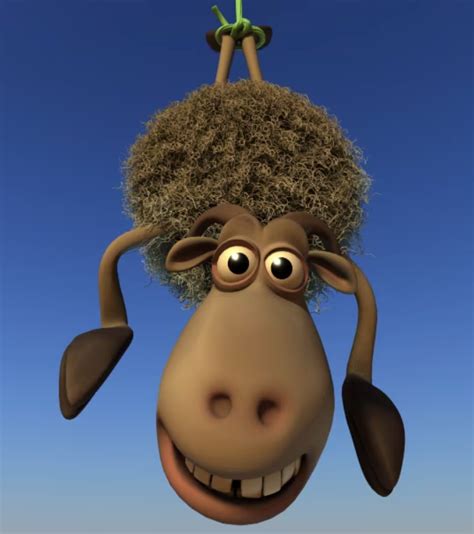 Sheep