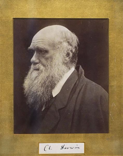 Charles Darwin De Julia Margaret Cameron Jeu De Paume Paris A