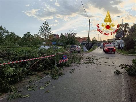 I Danni Della Tromba D Aria Nel Milanese Alberi Sradicati Auto