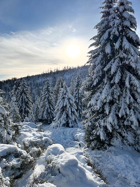 Im Winter Von Schierke Zum Brocken Wandern Fotografieren Bei C