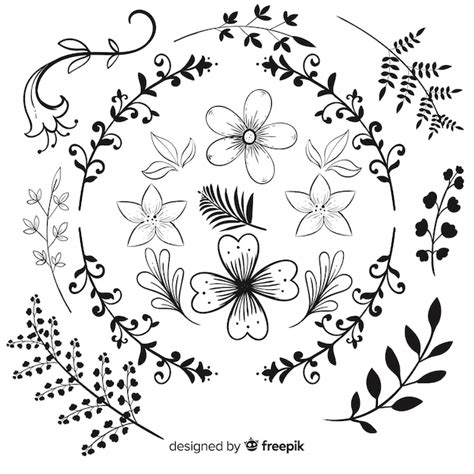 Conjunto De Adornos Florales Dibujados A Mano Vector Gratis