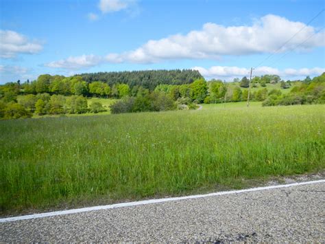 Rennrad Über Höhen des Saarlandes RTF Körprich Tour 168008