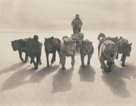 Vintage Photos from the Australasian Antarctic Expedition