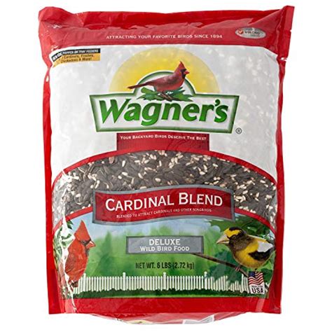 Best Cardinal Bird Seed Mix:Find The Perfect Balance Of Nutrition