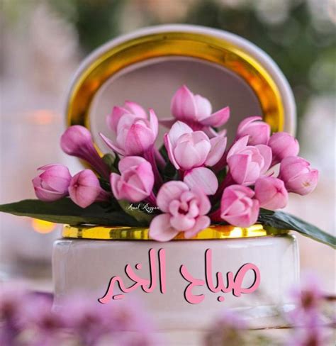 صباح الخير In 2024 Good Morning Flowers Rose Good Morning Roses