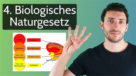 Das 4 Biologische Naturgesetz Neue Medizin Germanische Heilkunde