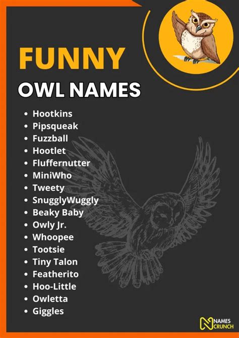 250+ Funny Owl Names (Clever Ideas) - Names Crunch