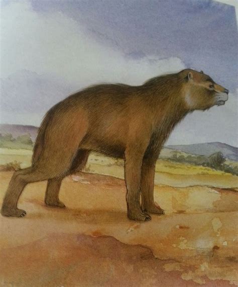 Percrocutid Miocene Eurasia Short Faced Bear Prehistoric Animals