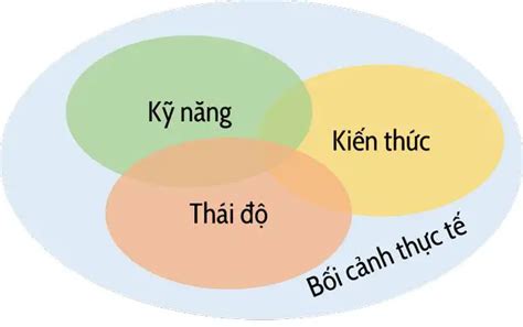 Năng Lực Là Gì Các Cách Nâng Cao Năng Lực Của Bản Thân Wiki Secret