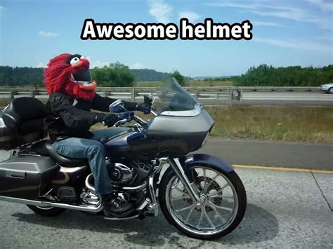 Awesome Helmet Funny Pictures Funny Bones Funny