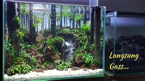 Cara Membuat Aquascape Hutan Air Terjun Youtube