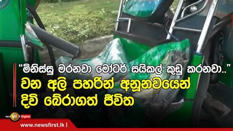 මිනිස්සු මරනවා මෝටර් සයිකල් කුඩු කරනවා වන අලි පහරින් අනූනවයෙන් දිවි