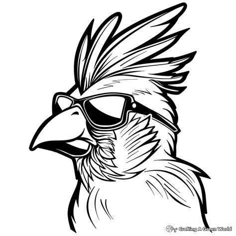 Arizona Cardinals Coloring Pages Free And Printable