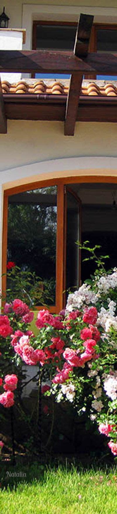 Flowers Are Growing In Front Of A Window