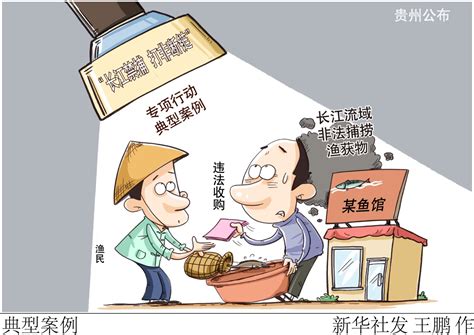 漫画：典型案例 法治网