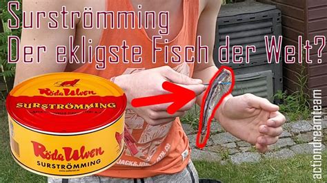 SURSTRÖMMING Der ekligste Fisch der Welt Challenge