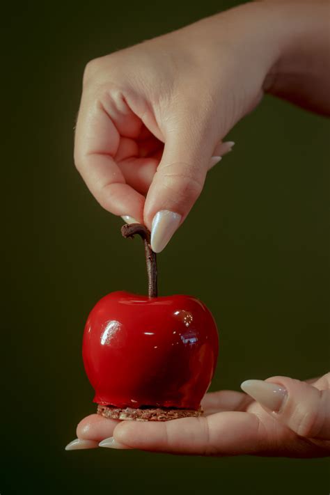 Doces Em Formato De Frutas Saiba Onde Comer Entremets Em Fortaleza