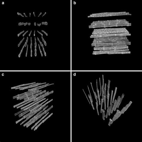 Overview Of The High Throughput Digital Phenotyping Imaging Pipeline