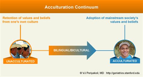 Acculturation