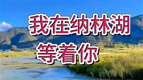 草原情歌《我在纳林湖等着你》嗓音空灵干净，歌声深情甜美。 Youtube