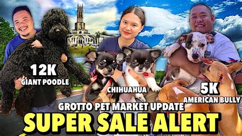 Affordable Na Super Quality Pa Na Mga Pets Grotto Pet Market Update