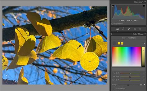 Tổng hợp các cập nhật trên Lightroom tại Adobe MAX 2023 ONTOP vn