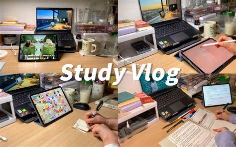 Study Vlog 宅家高效学习·努力提升自己！在心里种花，人生才不会荒芜。 小周的日记簿 小周的日记簿 哔哩哔哩视频