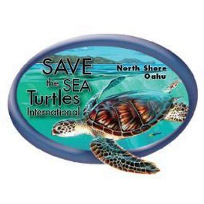 Save The Sea Turtles (@saveseaturtles) | Twitter