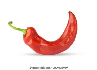 Acute Hot Nutritious Tasty Chilli Pepper Stock Vector Royalty Free 1243058671 Shutterstock
