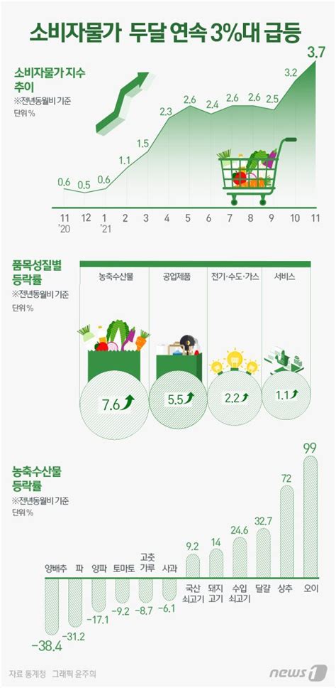 그래픽뉴스 소비자물가 두달 연속 3대 급등 네이트 뉴스