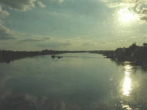 Desde la Península y las inmediaciones de mi hamaca LOS CAIMANES DEL