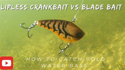 Lipless Crankbait Fishing Vs Blade Bait Fishing How To Catch Bass In