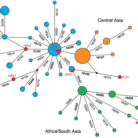 (PDF) Ancient DNA from the First European Farmers in 7500-Year-old ...