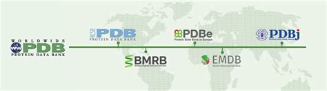 Slides Bioinformatics Data Types And Databases Learning About One