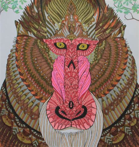 Mandrill Colouring Pages Mandrill Scully