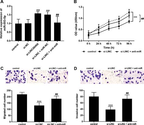 Lncrna Linc Predicts The Prognosis And Promotes The Progression