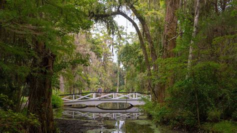 South Carolina Road Trip for Nature Lovers