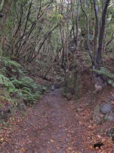 Barranco Del Agua Cascada De Los Tilos Wildnis Wandern De