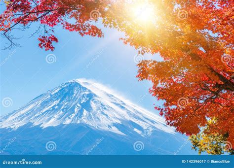 Mount Fuji In Autumn Color Japan Stock Image Image Of Mount