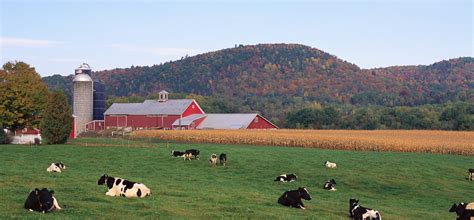 Farm