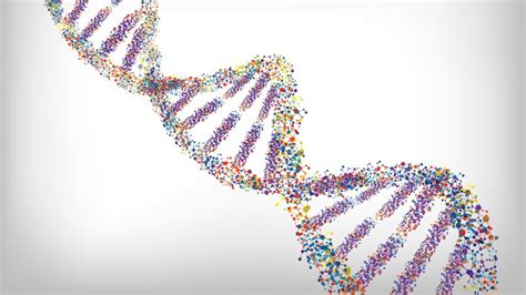 Stem cells with half a genome may be useful for drug testing | STAT