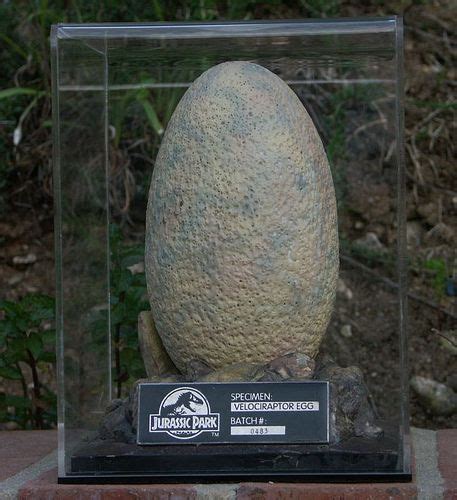 Jurassic Park Raptor Egg Jurassic Park Jurassic Park Raptor Jurassic