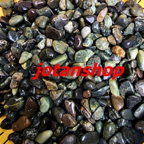 Jual Batu Kupang Coral Koral Hitam Kecil 500gr Batu Alam Hias Taman