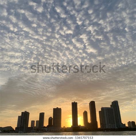 Miami Sunset Skyline Stock Photo 1365707153 | Shutterstock