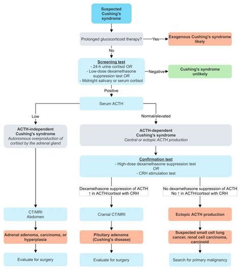 Diagram Of Osce Endocrinology Exam Cushings Syndrome Quizlet