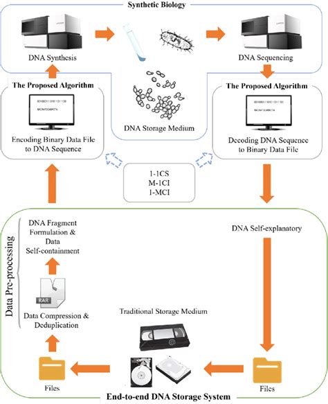 Overall Dna Storage System Architecture The Data Files Stored On